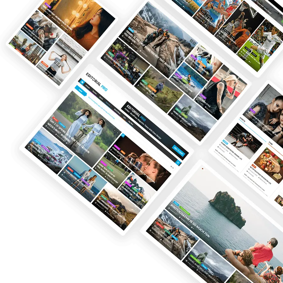 Editorial Pro Theme Lifetime Update