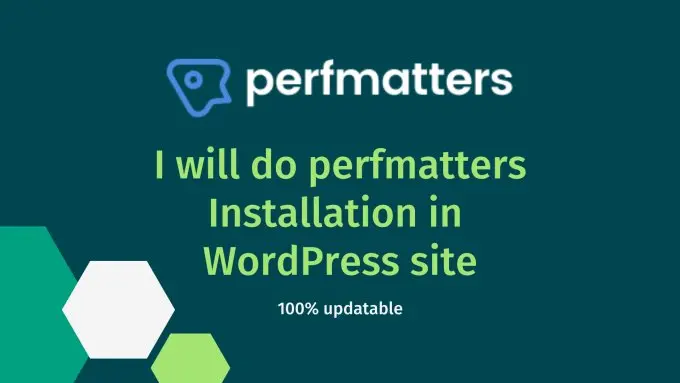 Perfmatters Plugin Install