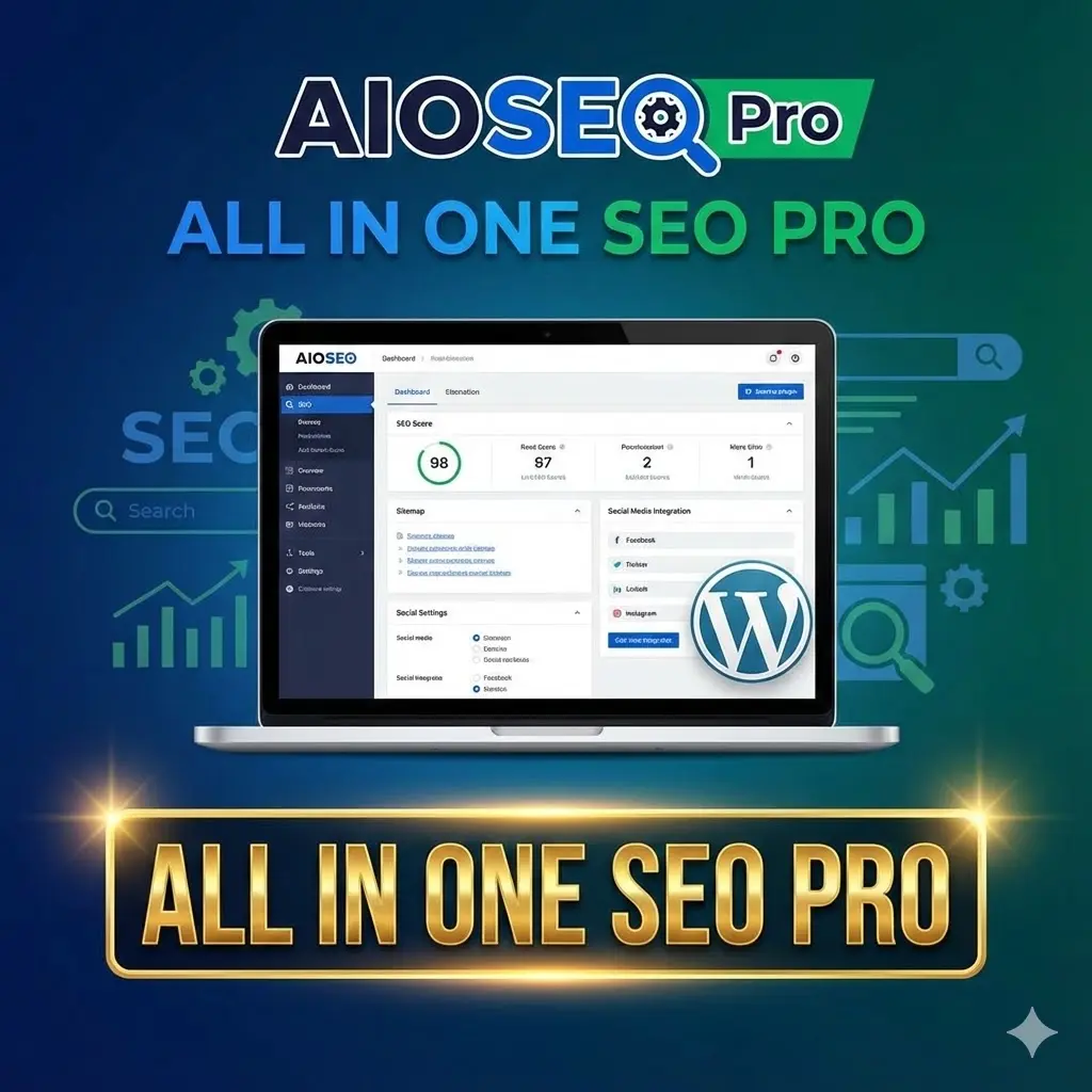 AIOSEO  Pro Plugin Install Service