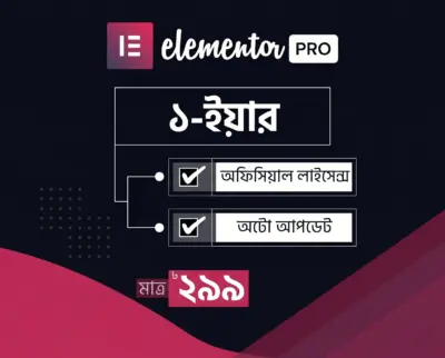Elementor Pro One Plugin