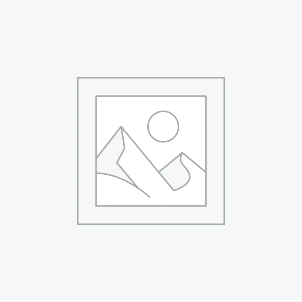 Wp Import & Export Plugin